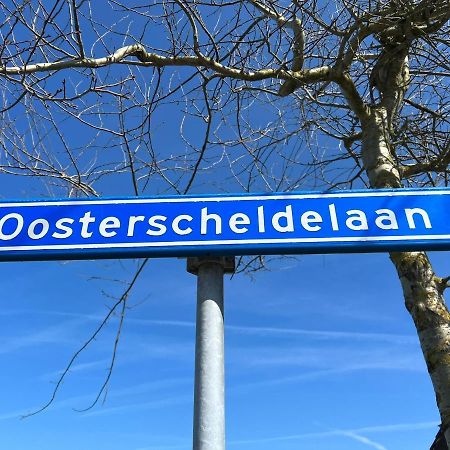 Vakantiehuis Met Luxe Tuin Dichtbij Het Strand Kamperland Eksteriør bilde